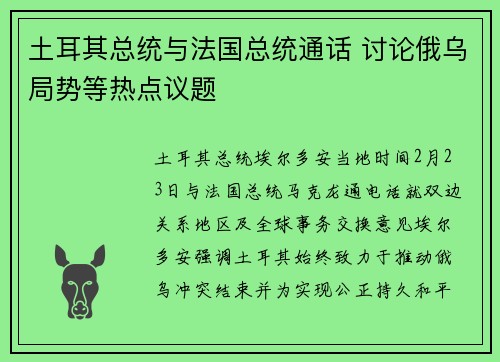 土耳其总统与法国总统通话 讨论俄乌局势等热点议题