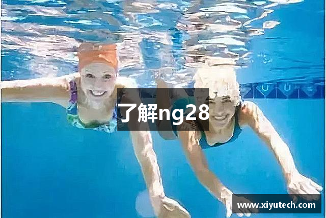 了解ng28